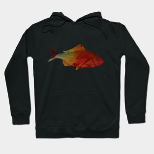 Fish in red and orange Hoodie